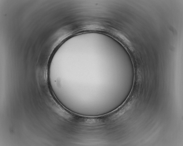 X0000111601322200907161545