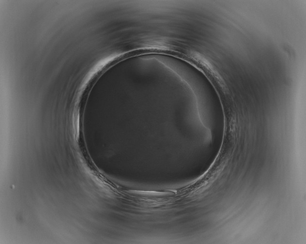 X0000111601323200907161545