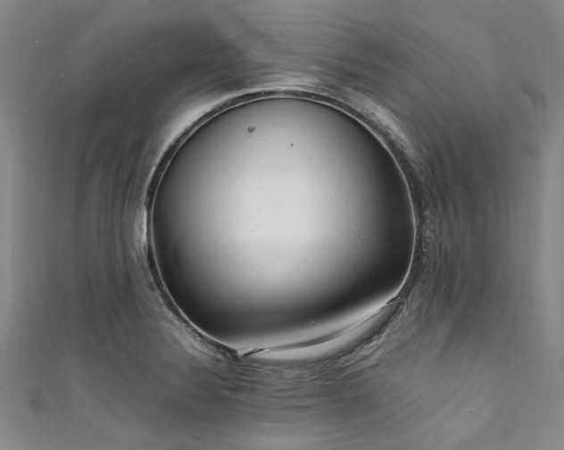 X0000111601324200907161545