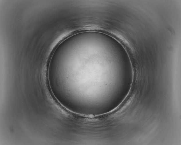 X0000111601325200907161545