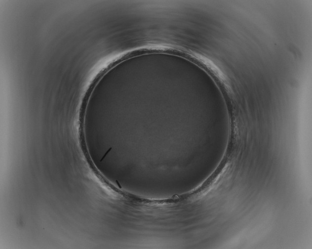 X0000111601327200907161545