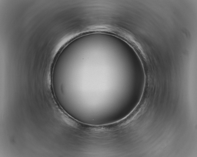 X0000111601328200907161545