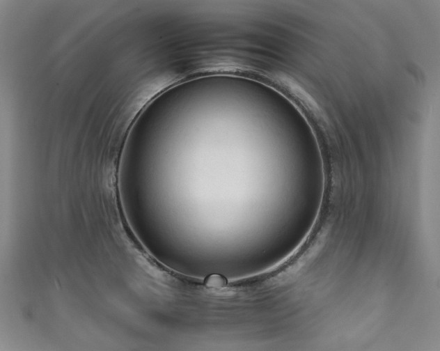 X0000111601329200907161545