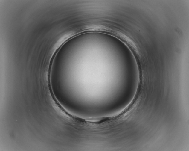 X0000111601330200907161545