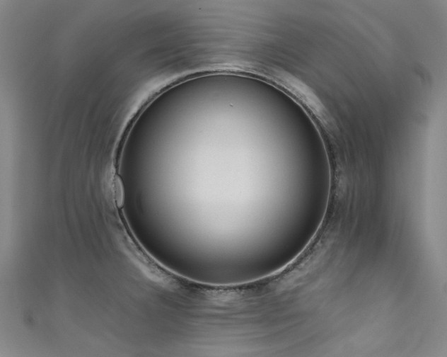 X0000111601332200907161545