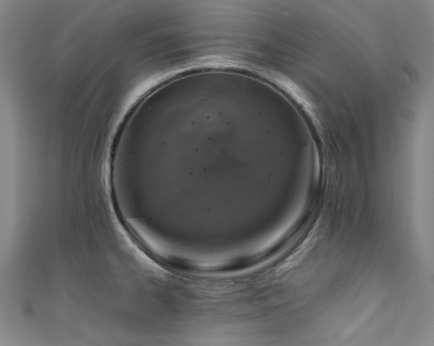 X0000111601334200907161545