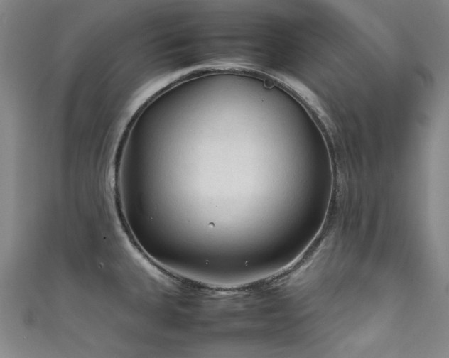 X0000111601335200907161545