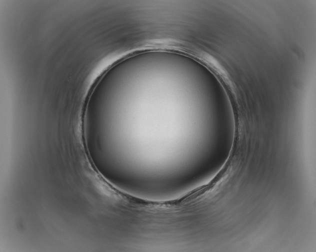 X0000111601336200907161545