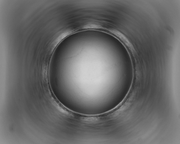 X0000111601337200907161545