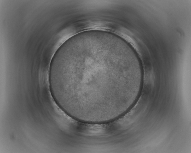 X0000111601338200907161545