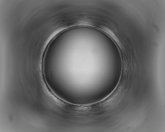 X0000111601339200907161545