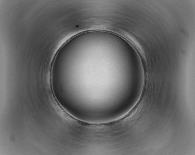 X0000111601340200907161545