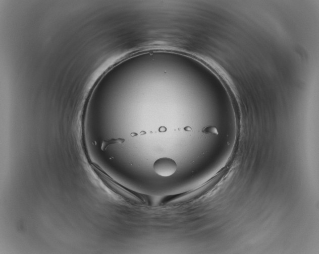 X0000111601341200907161545