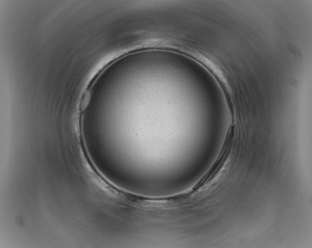 X0000111601342200907161545