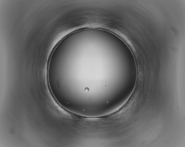 X0000111601343200907161545