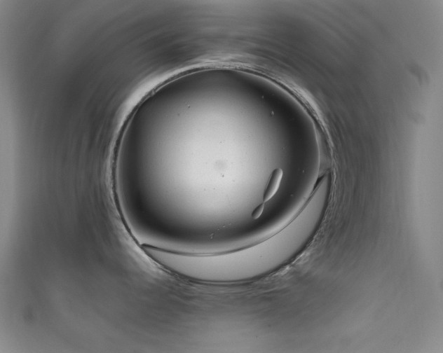 X0000111601344200907161545