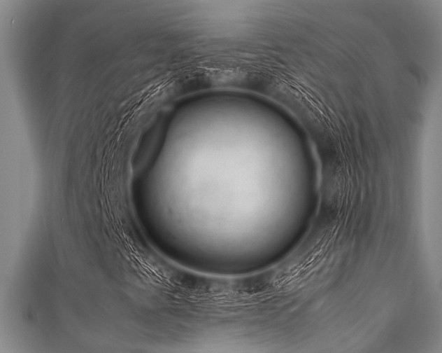 X0000111601345200907161545
