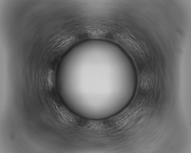 X0000111601346200907161545