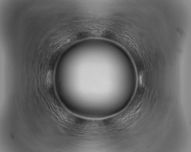 X0000111601347200907161545