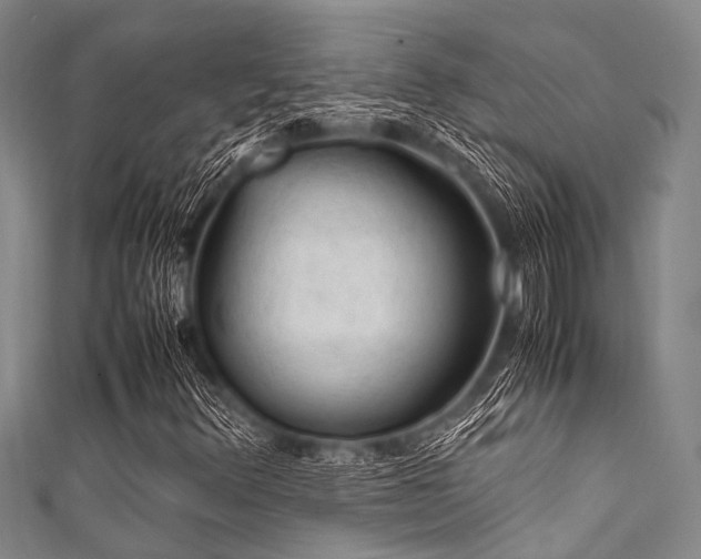 X0000111601348200907161545