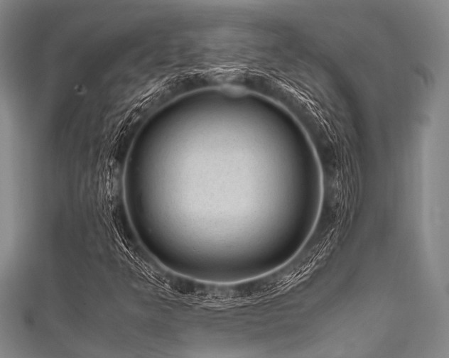 X0000111601349200907161545