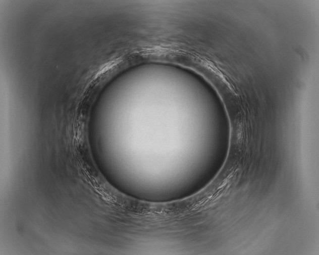 X0000111601350200907161544