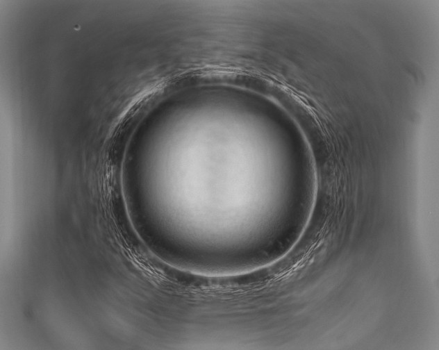 X0000111601351200907161544