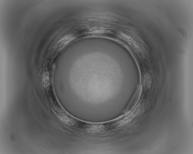 X0000111601353200907161544