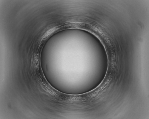 X0000111601354200907161544