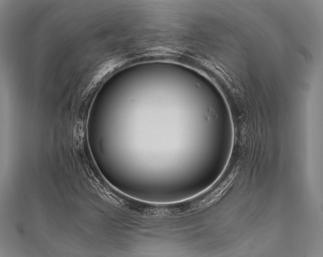 X0000111601355200907161544