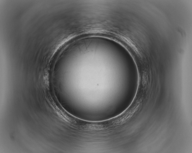 X0000111601356200907161544