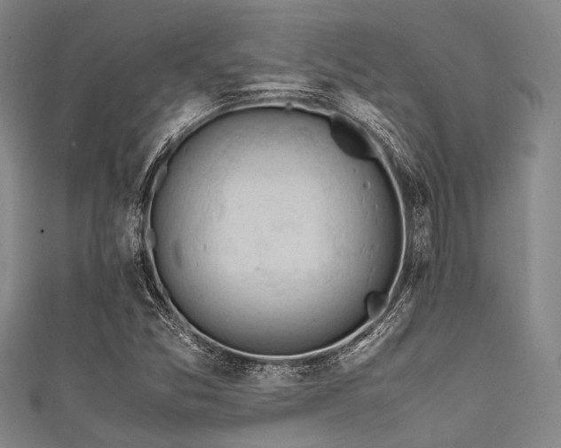 X0000111601357200907161544