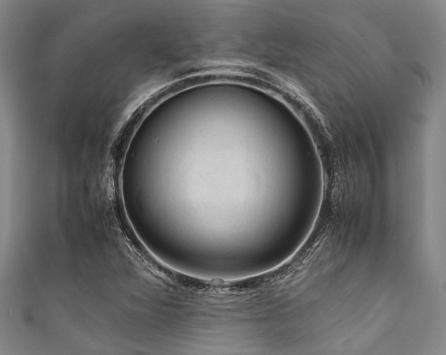 X0000111601360200907161544