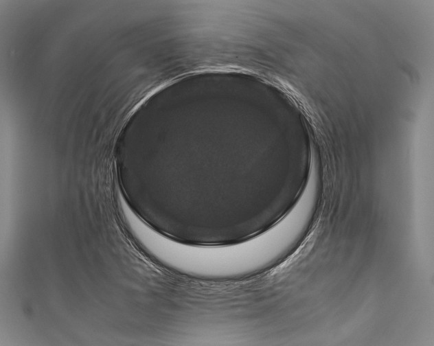 X0000111601361200907161544