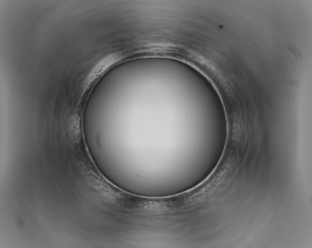 X0000111601362200907161544