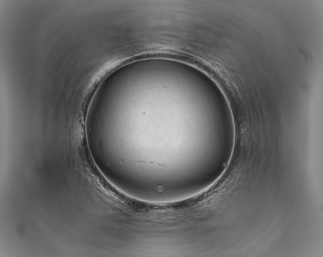 X0000111601363200907161544