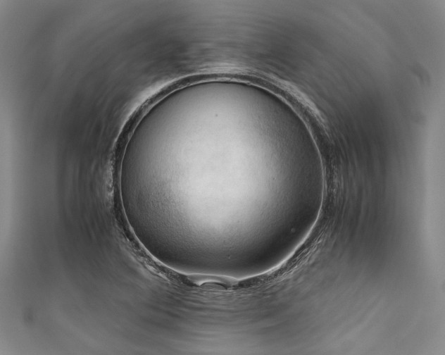 X0000111601364200907161544