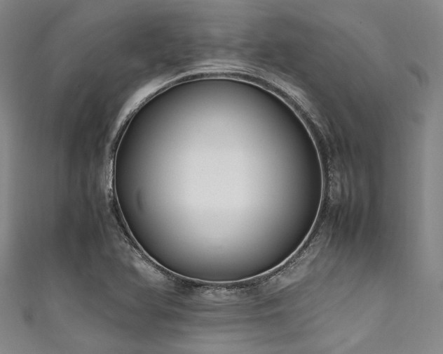 X0000111601366200907161544
