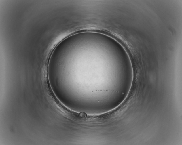 X0000111601367200907161544
