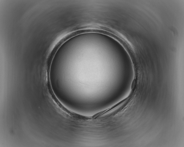 X0000111601368200907161544