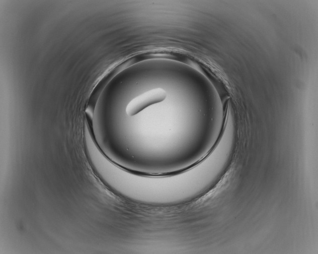 X0000111601369200907161544