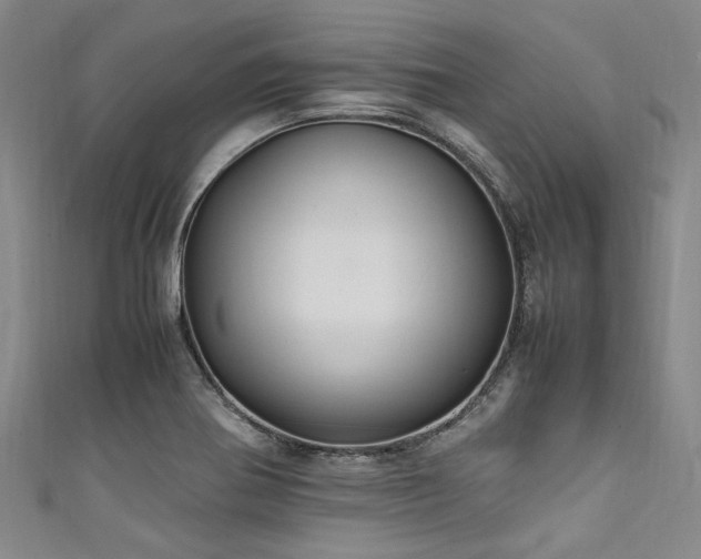 X0000111601370200907161544
