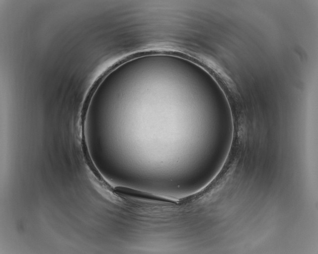 X0000111601372200907161544