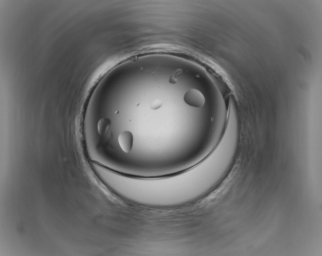 X0000111601373200907161544