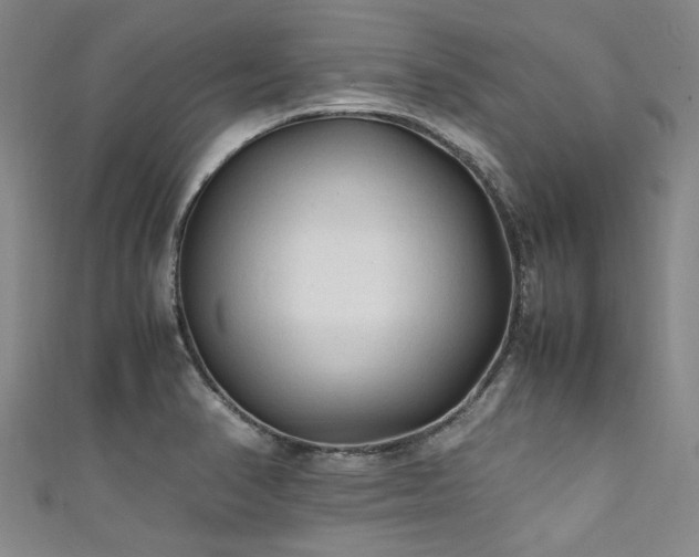 X0000111601374200907161544