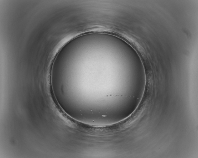 X0000111601375200907161544