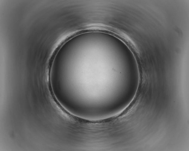 X0000111601376200907161544