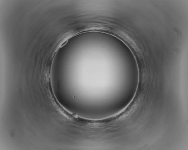 X0000111601377200907161544