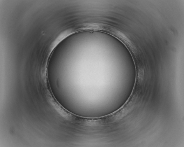 X0000111601378200907161544