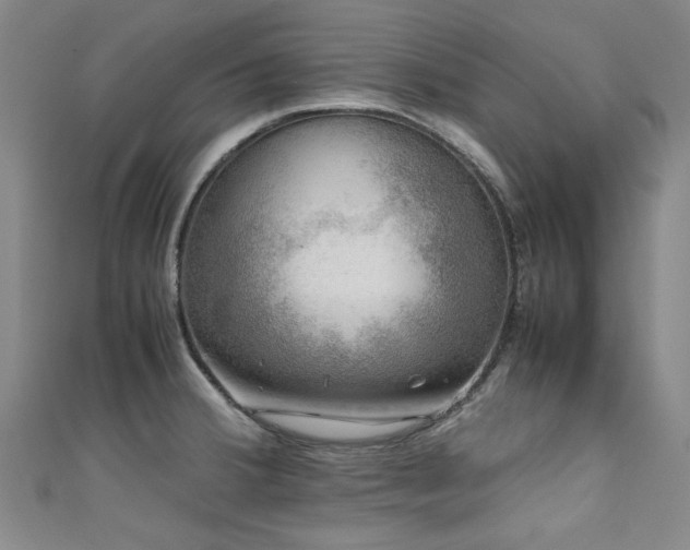 X0000111601380200907161544
